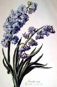 Cornelis van Spaendonck Prints Hyacinth oil